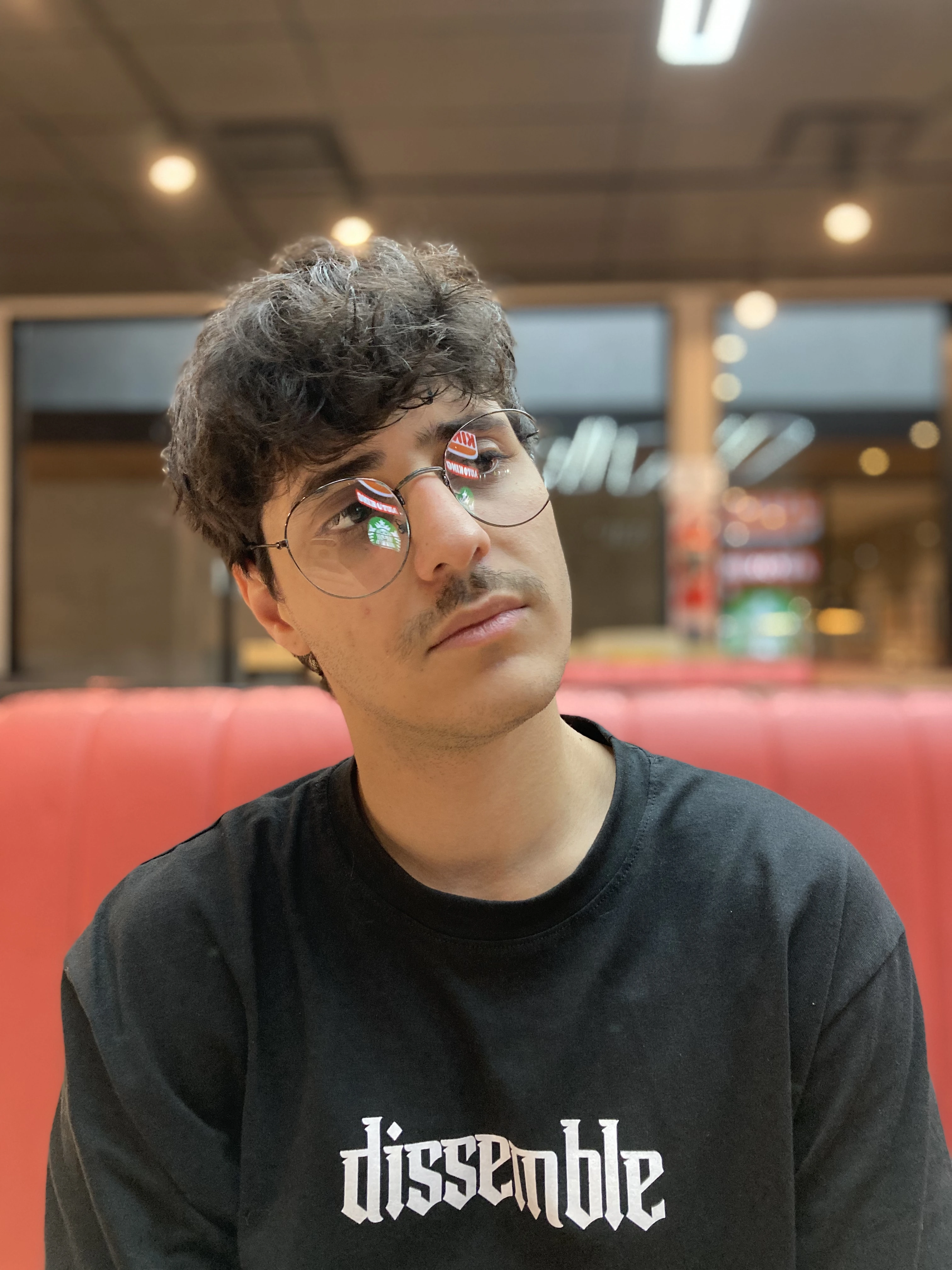 Descripción de la imagen